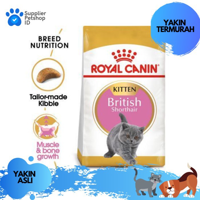 Royal Canin Kitten British Shorthair Dry 2kg Cat Food Shopee Philippines