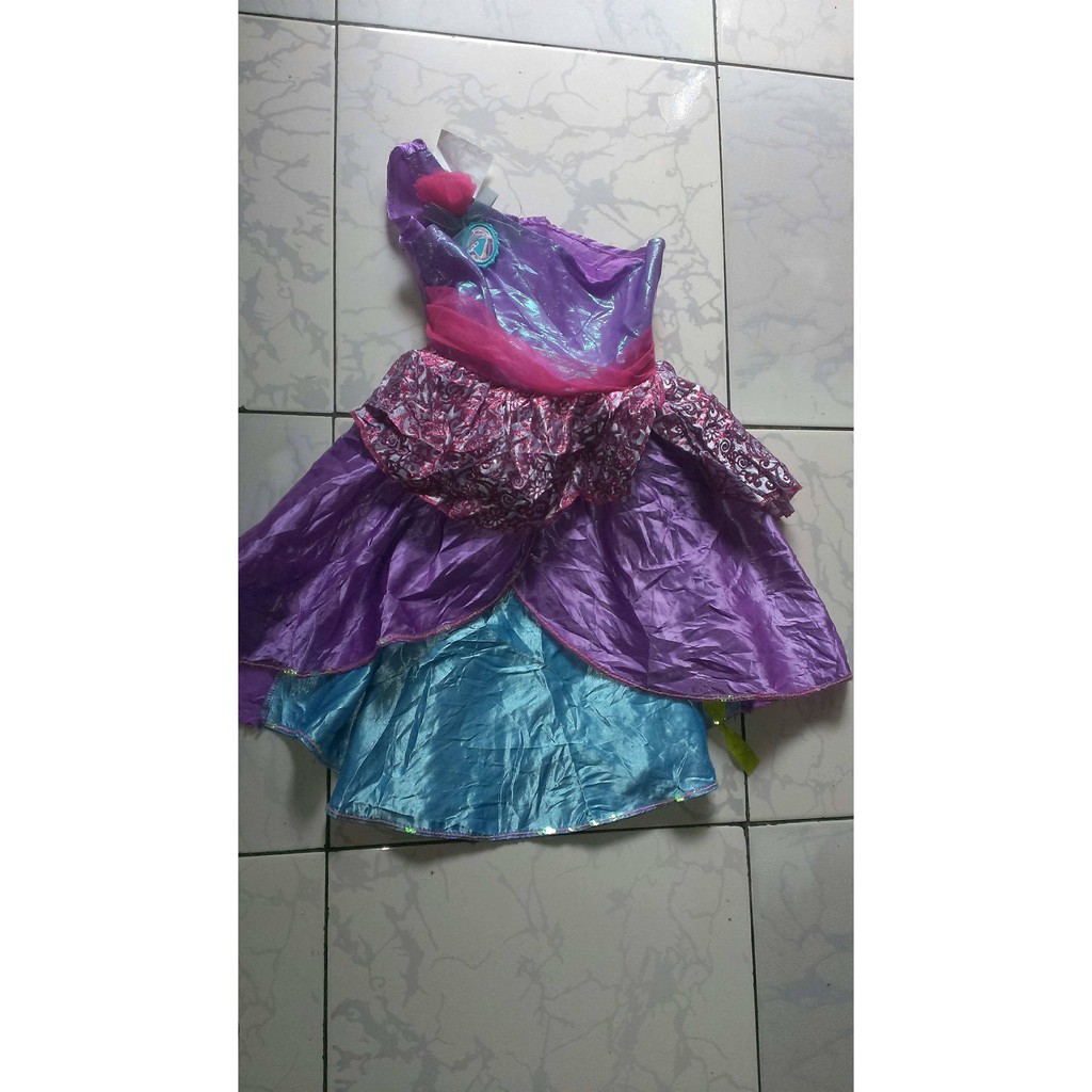 Barbie princess and the best sale popstar costume