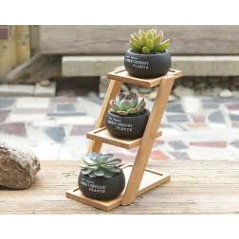 MINI PLANT RACK DISPLAY | Shopee Philippines