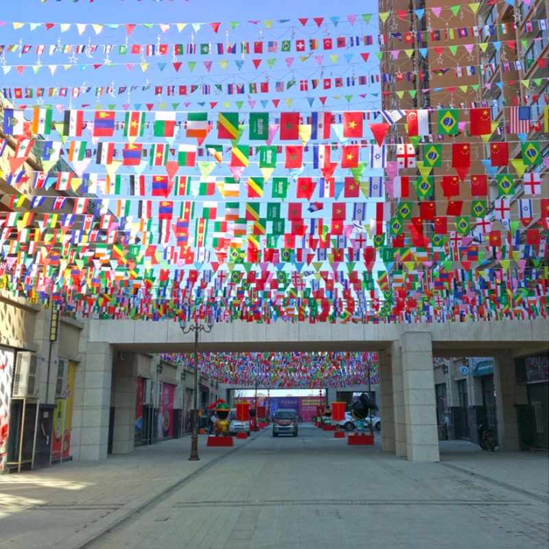 50-100Pcs Flags Multi-Cultural Party Hanging Decor Different Assorted ...