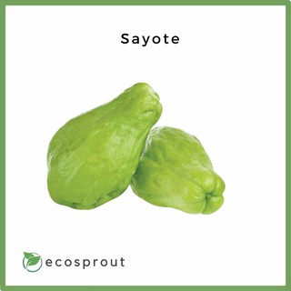 Fresh Sayote | 300g | 500g | Fresh Vegetables | Fresh Fruits ...