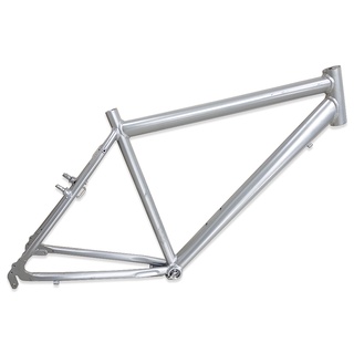 hybrid bike frame