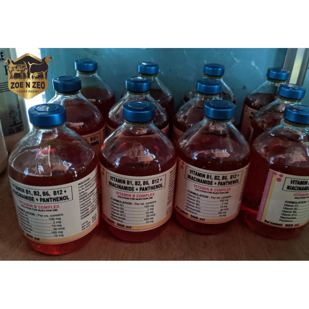 VITAMIN B1,B2,B6,B12+NIACINAMIDE+PANTHENOL 500ML Shopee Philippines