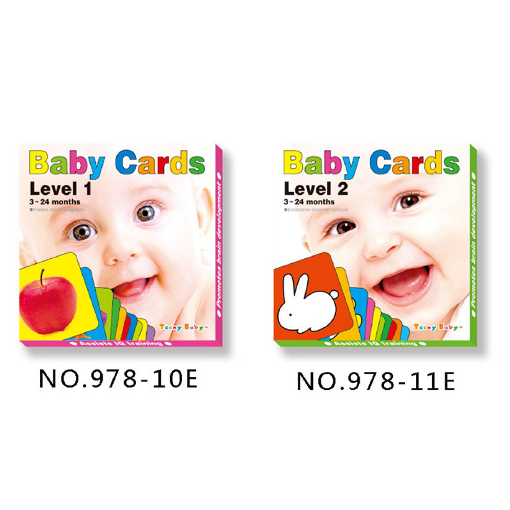 BABY Infant Educational Multicolor Flash Cards Shopee Philippines