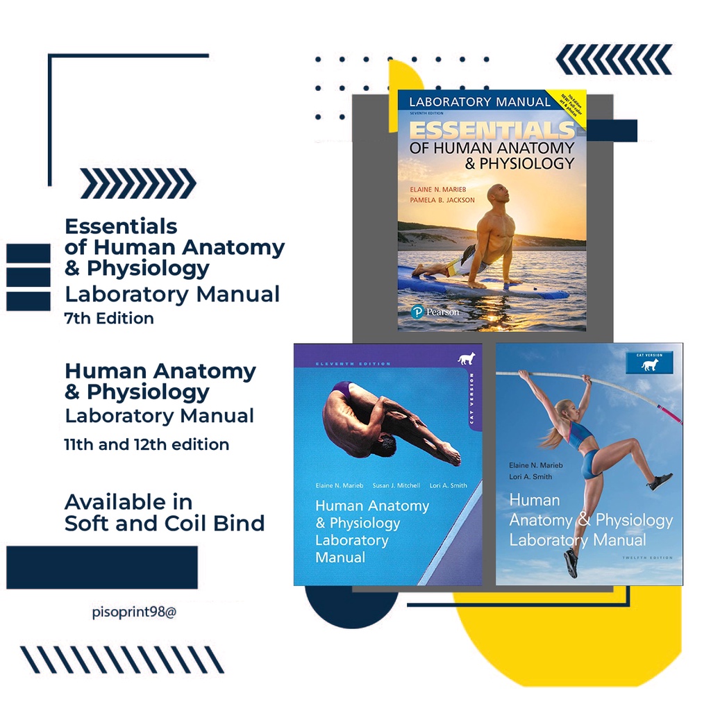 Human Anatomy and Physiology 7th , 11th and 12th Ed - Laboratory Manual ...