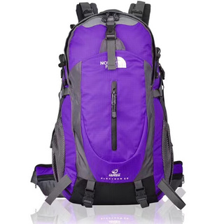 The north face hot sale flight series backpack