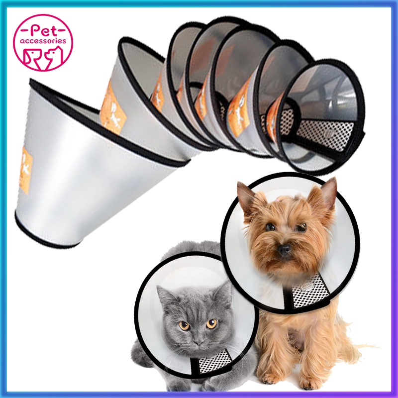 Cone for a dog's head best sale