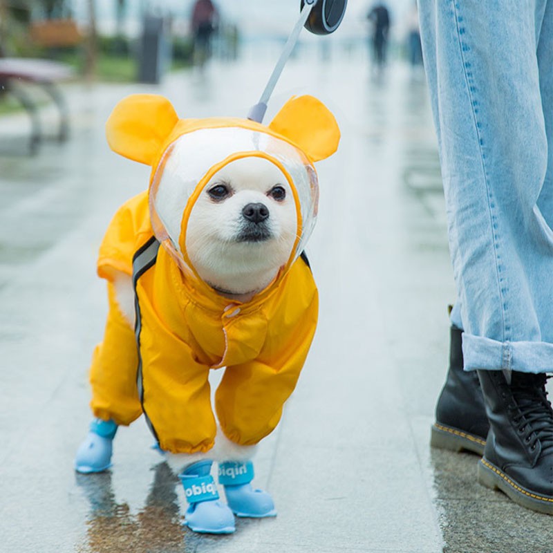 Dog rain store boots and coat