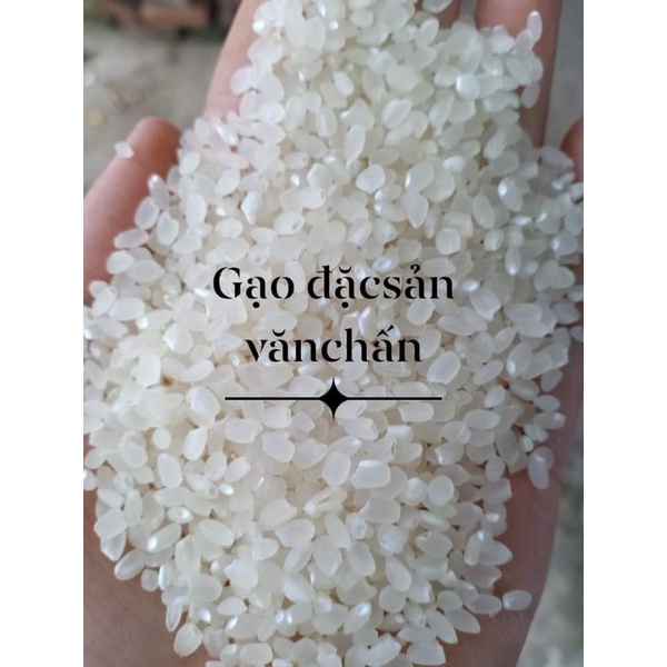 Van Chan Yen Bai round sticky rice 5kg | Shopee Philippines