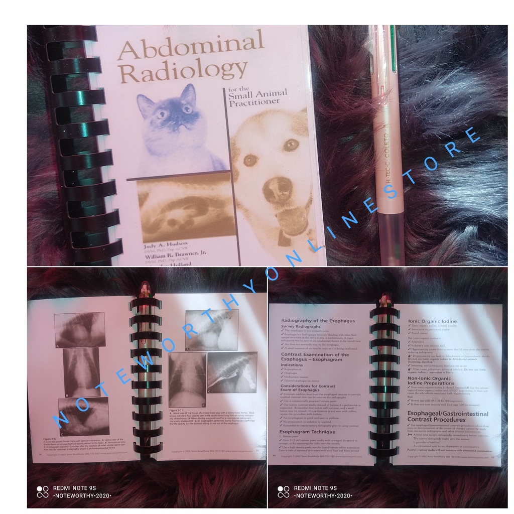 VetMed DVM Veterinarian Made Easy Series Abdominal Radiology for the ...