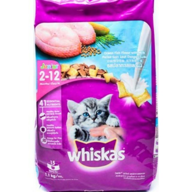 Wet food whiskas outlet junior