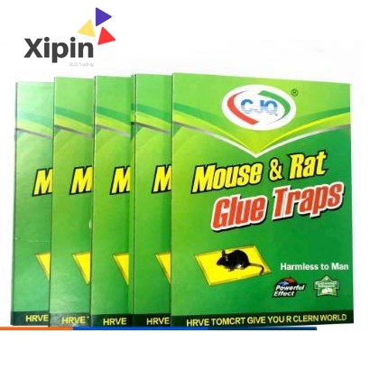 Mouse trap/Rodent expert/Rat Glue snare/sticker mice board | Shopee ...