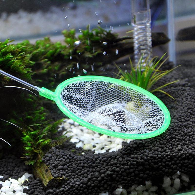 Fry Fish Net Good For Fry and Fish - Aquapet | Shopee Philippines