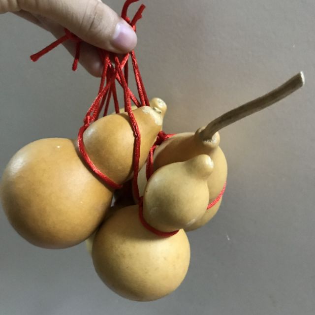 Hulu or Wulou fengshui hanging natural hulu real health good luck ...
