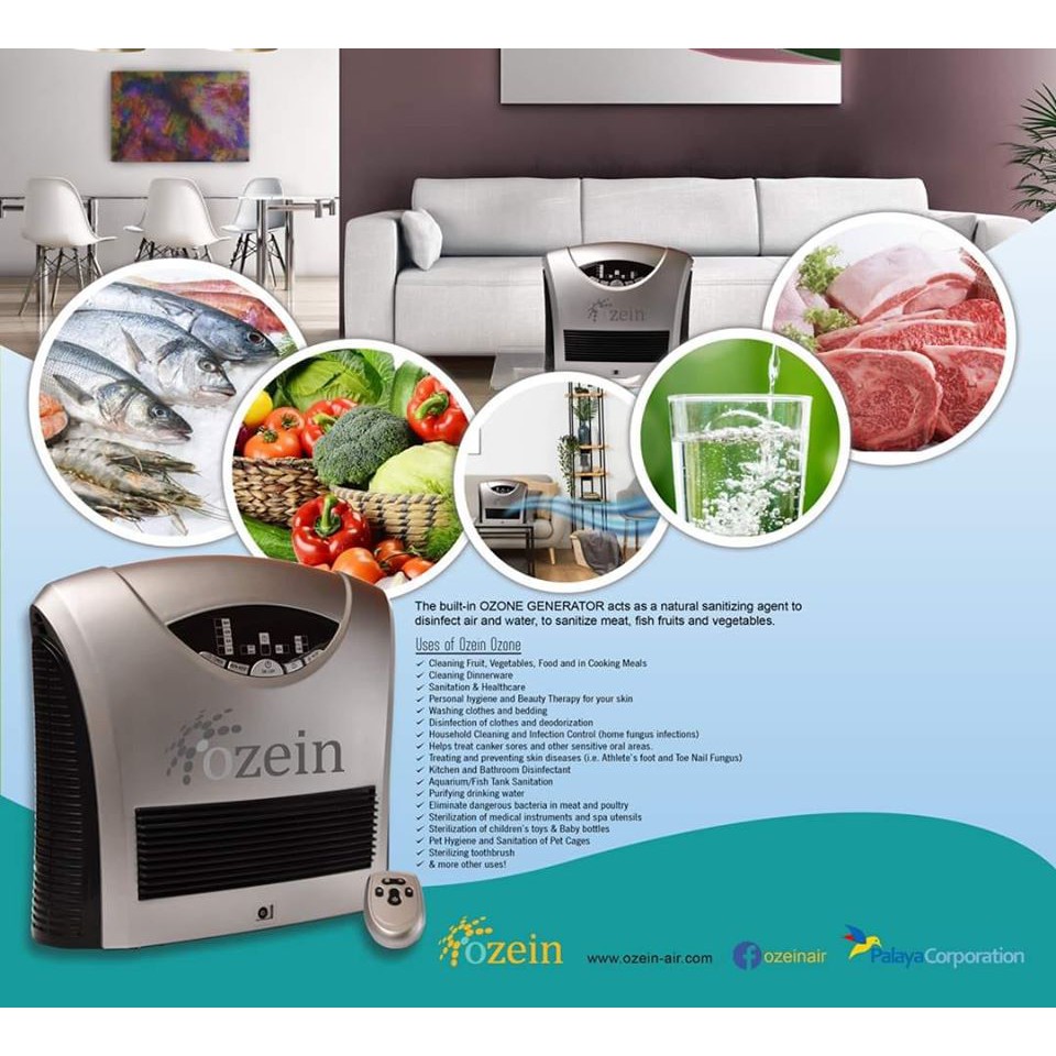 OZEIN Four Stage Air Purifying System Shopee Philippines