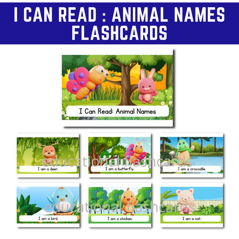 I can read animal names Flashcards, ANIMALS FLASHCARDS , Laminated for