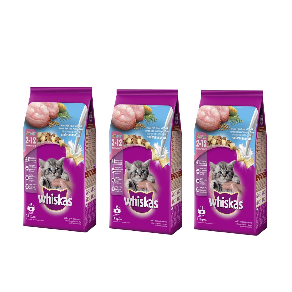 Whiskas junior ocean fish hotsell with milk