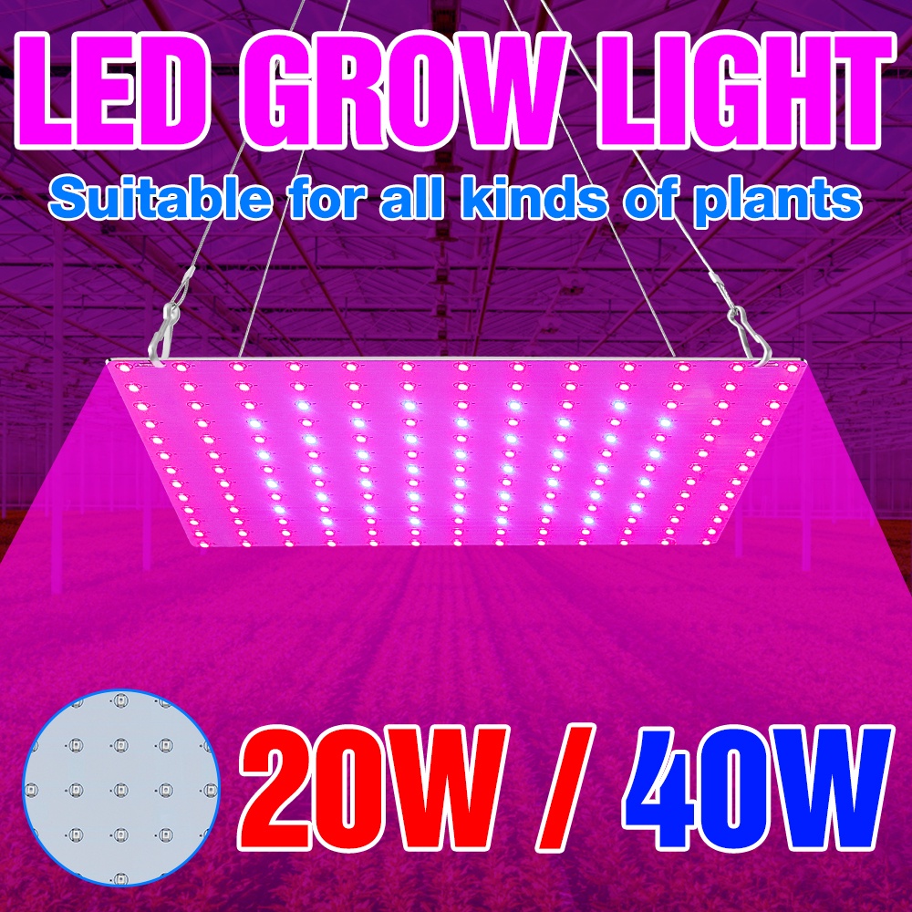 Plant Lamp LED Quantum board Grow Light 220V Full Spectrum Growth Lamp ...