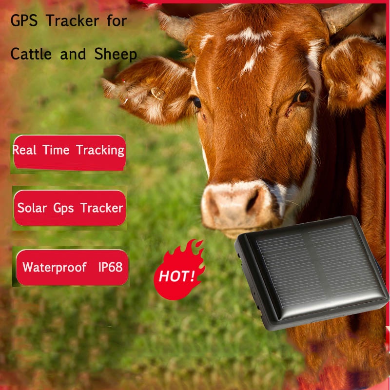 RF V26 Waterproof IP67 Mini Solar Sheep Cow Cattle Horse Animal Long Standby time Lifetime Free