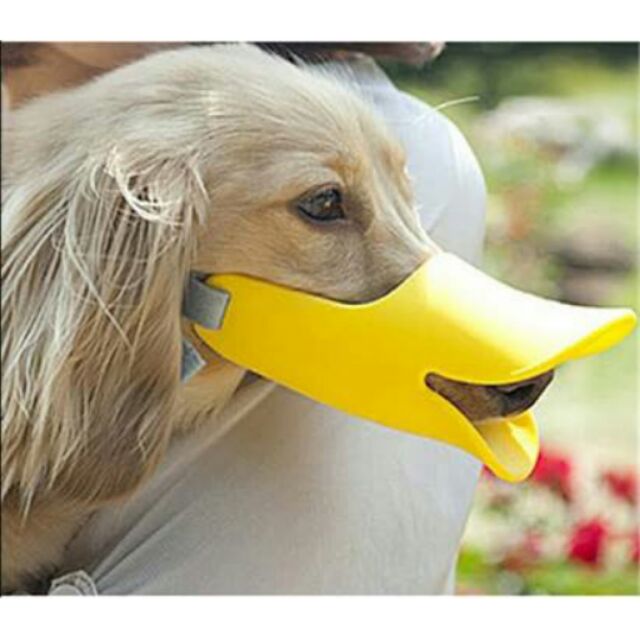 Dog muzzle deals duck face