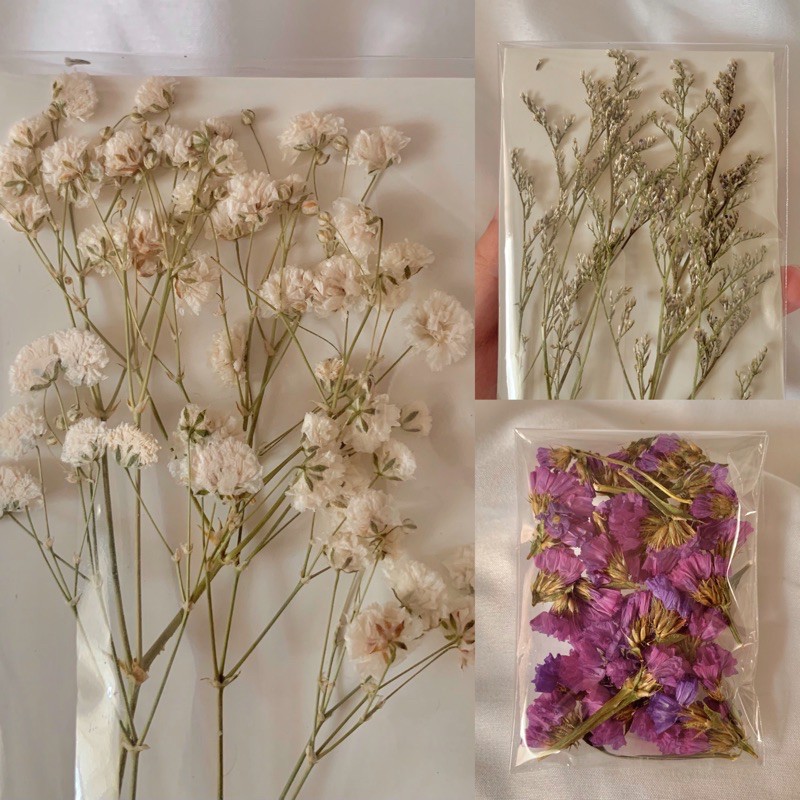 Pressed Dried Flowers for Resins or Scrapbook (Gypsophila, Statice