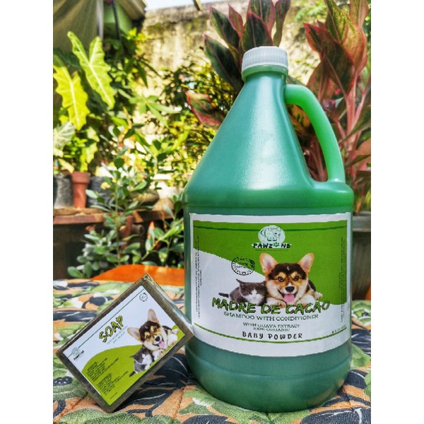 dundruff shampoo active shampoo hair shampoo Madre de Cacao Shampoo