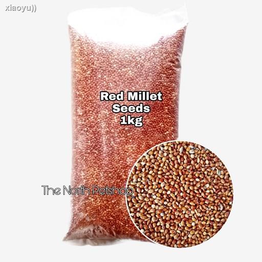 Red Millet Bird Seeds 1kg Shopee Philippines