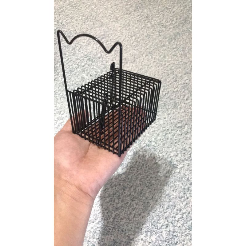 small mouse trap cage