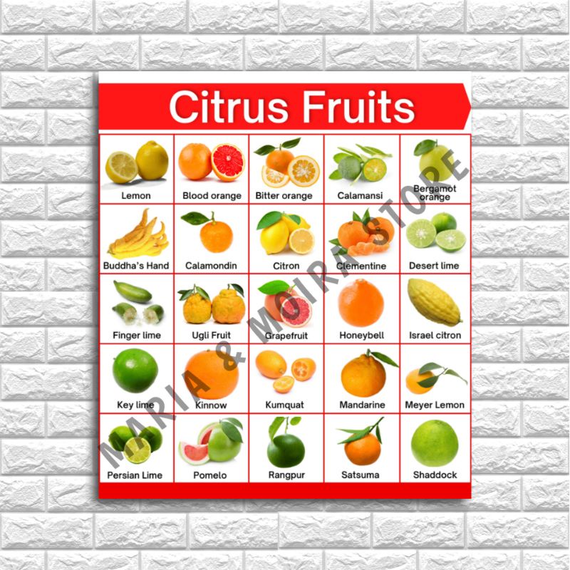 A4 Laminated Educational Wall Charts | Citrus and Dry Fruits Name ...