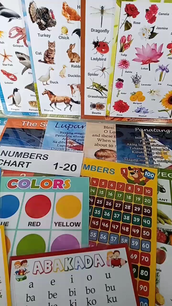 A4 Laminated Alphabet Chart | Shopee Philippines