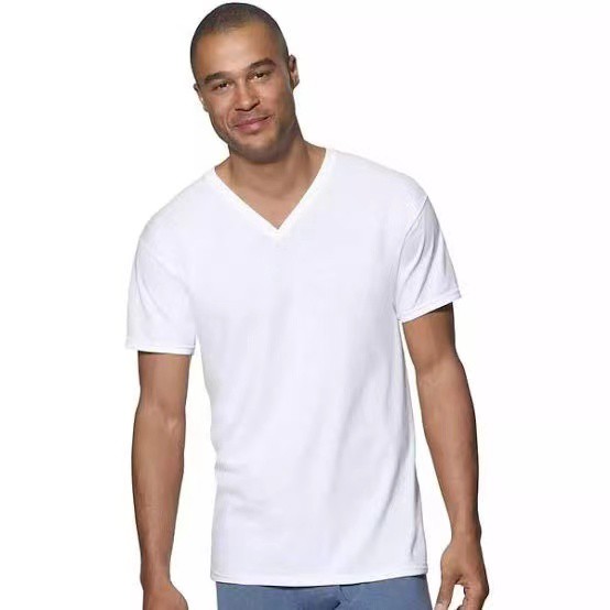 Hanes cool dri v neck mens on sale