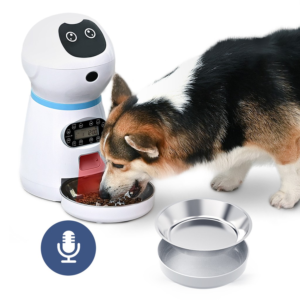 Dog feeding outlet machine