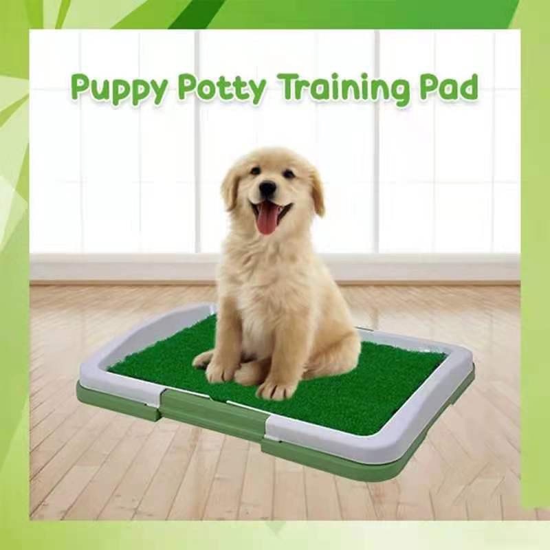 Green Puppy Potty Trainer Indoor Puppy Potty Feces Pee Pad luggage
