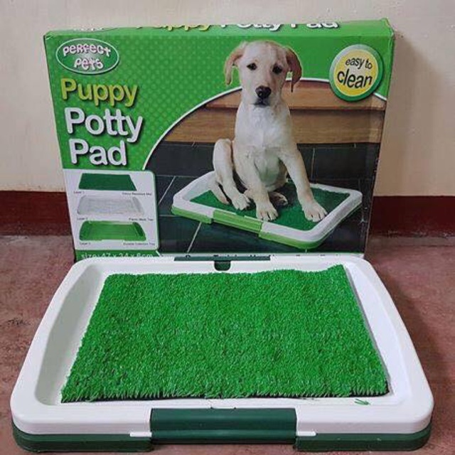 Indoor puppy hotsell potty training