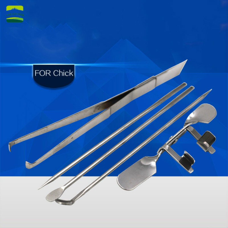 Chicken Castration Tool Stainless Steel Large Chicken Baby Chick ...