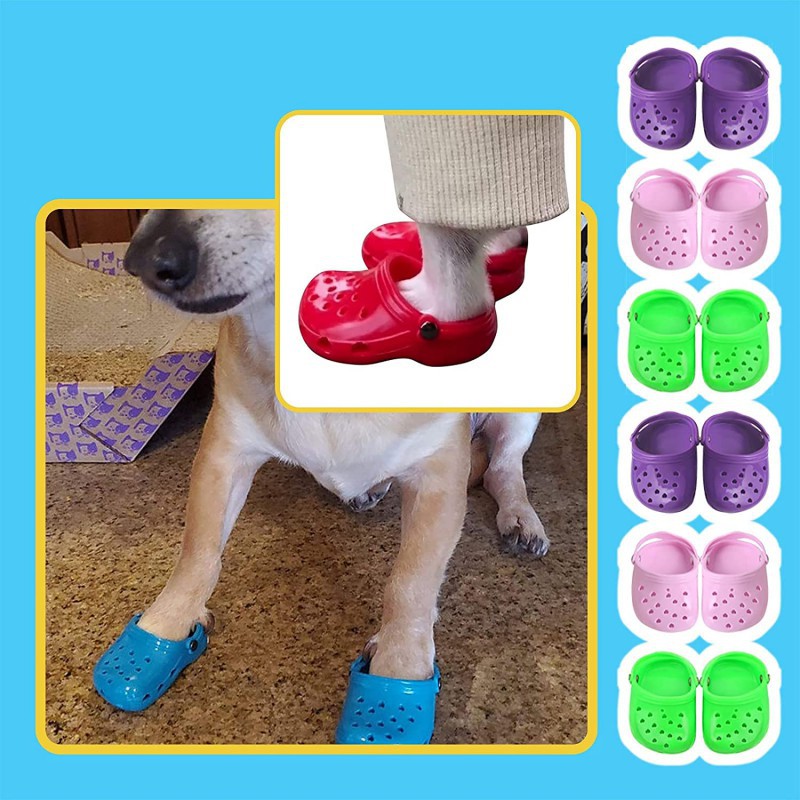 Dog shoes clearance shopee