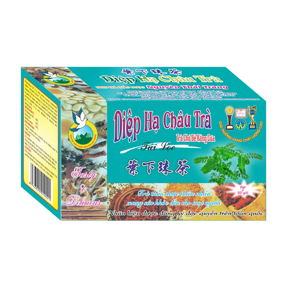 Diep Ha Chau Tea - Supports Hepatitis B Blood Fat - Nguyen Thai Trang ...