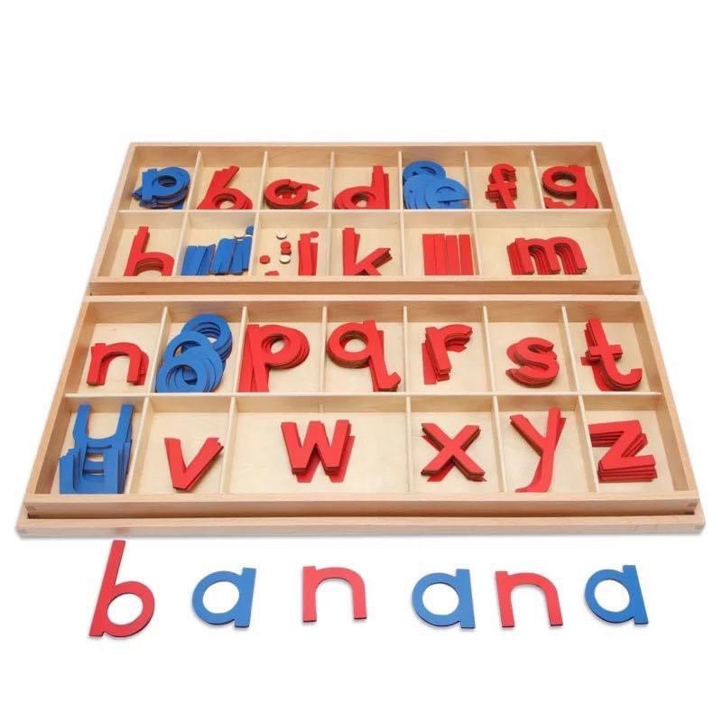 Large Moveable Alphabet Montessori | Shopee Philippines