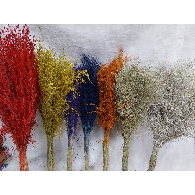 Dried Misty Grass local sold per bundle | Shopee Philippines
