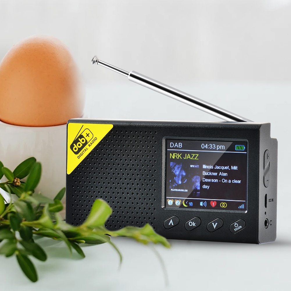 BPortable Digital Radio DAB/ DAB+ and FM Receiver