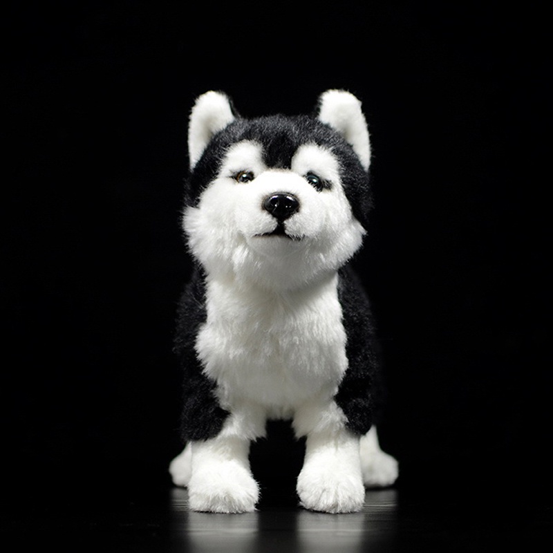 25cm Siberian Husky Dog Plush Toy W