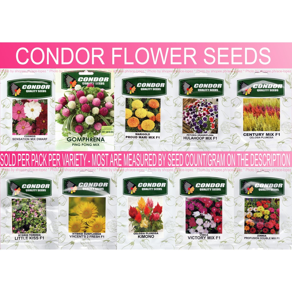 Condor Flower Seeds - Sold per Pack per Variety _ALS2127 | Shopee ...