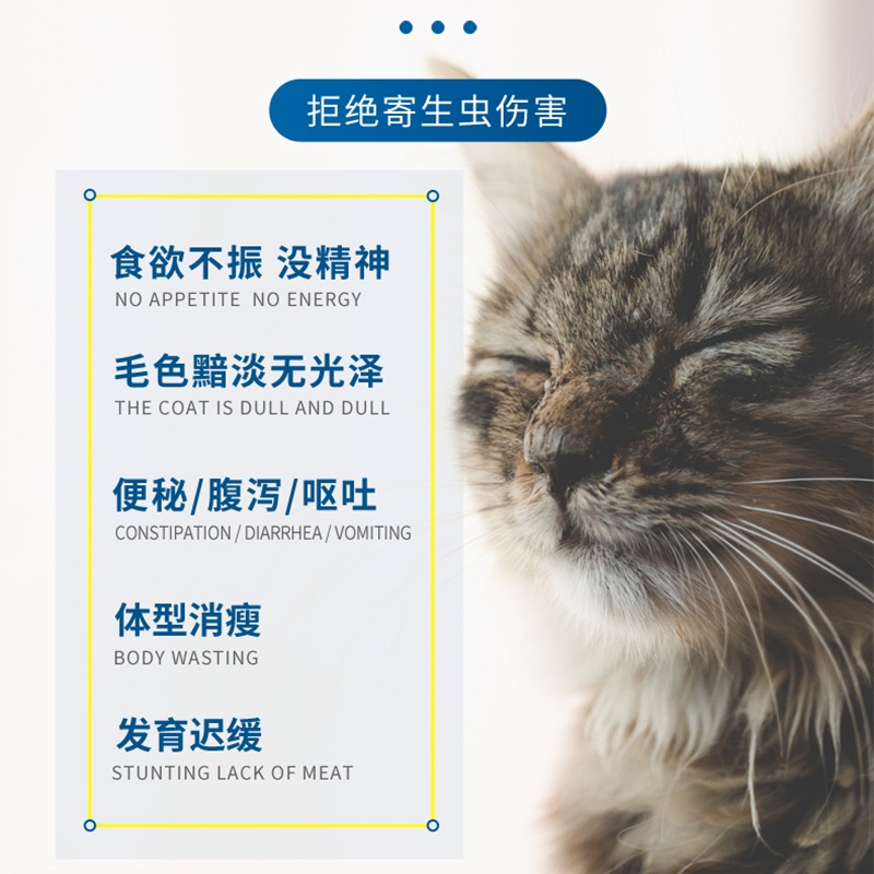 Remy High Vermifuge Fenbendazole Tablets for Cats Insect Repellent