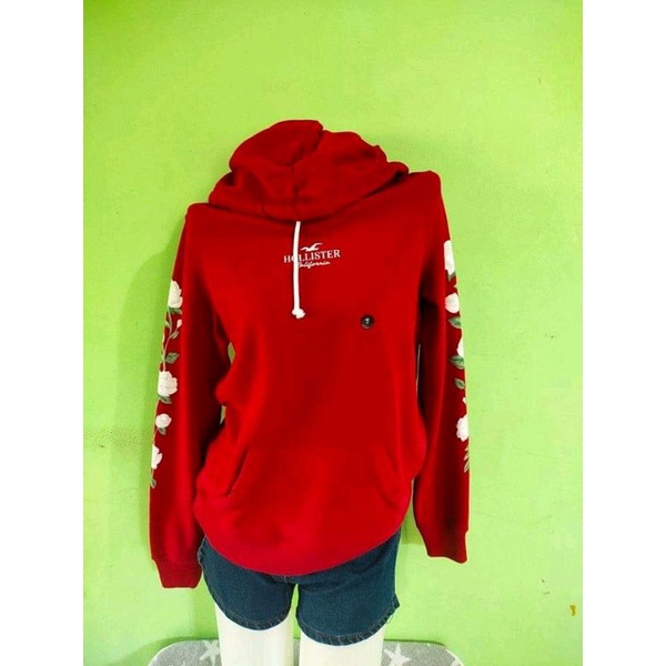 Fake hollister best sale hoodie