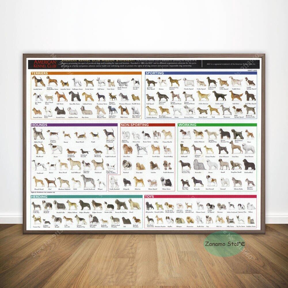 ZT Different Dog Breeds Chart Anatomy Poster Print Painting Oil Painter ...