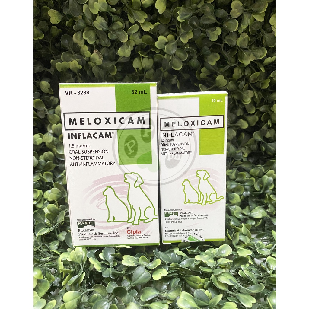 Meloxicam best sale dosage cats