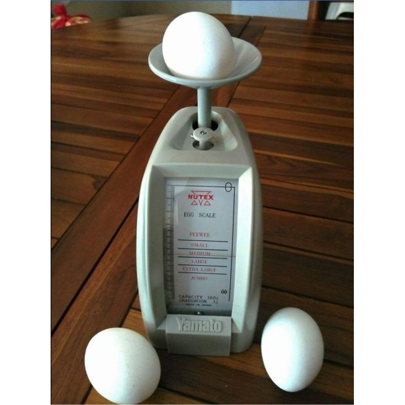 Yamato Egg Letter Scale