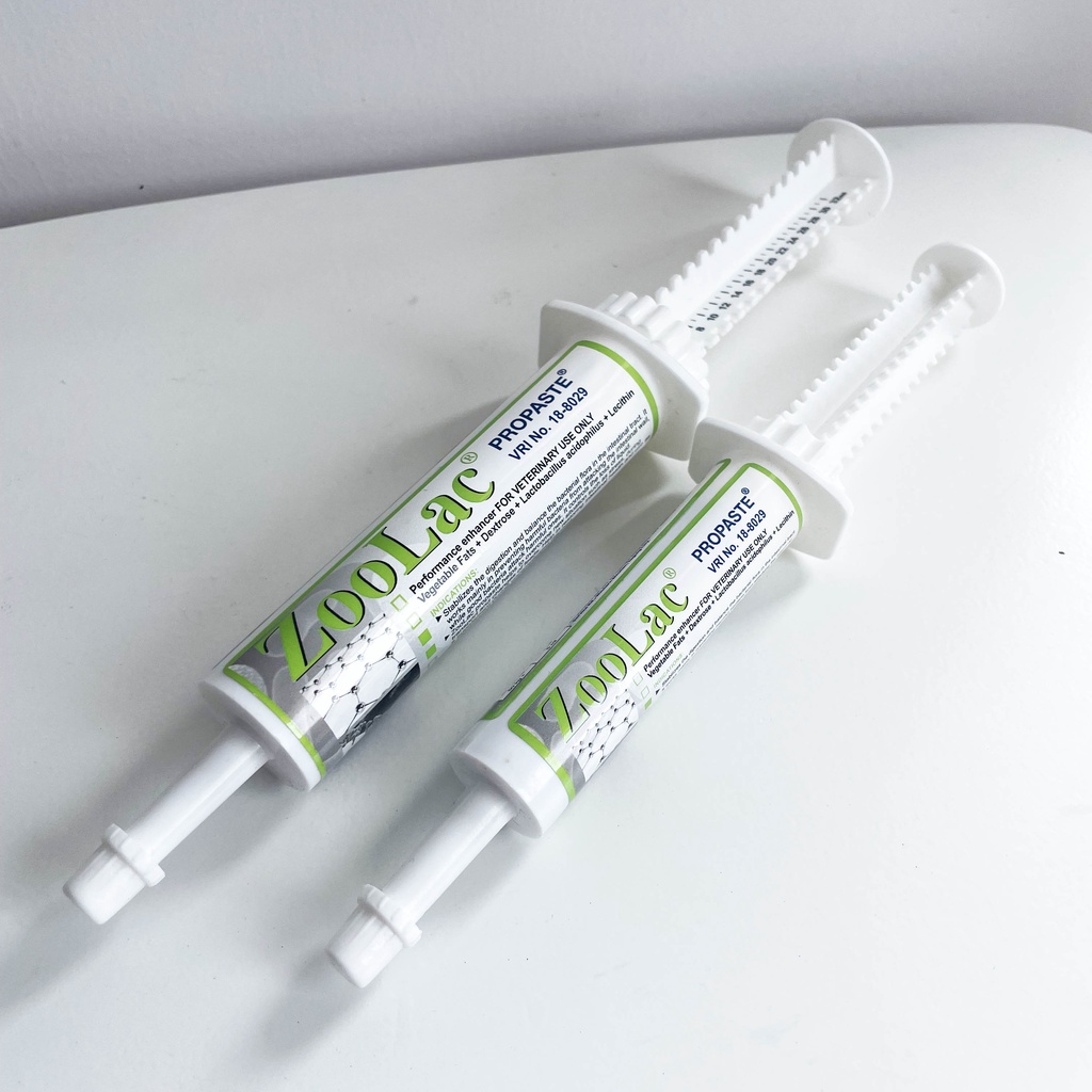 Zoolac Probiotic Paste for Pets Cats and Dogs 15ml and 32ml Shopee