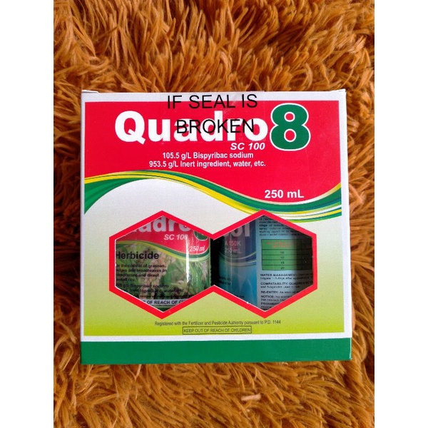 Quadro 8 new arrivals