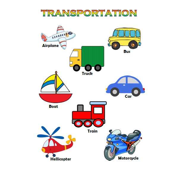 A4 Laminated Educational Chart (Transportation) | Shopee Philippines